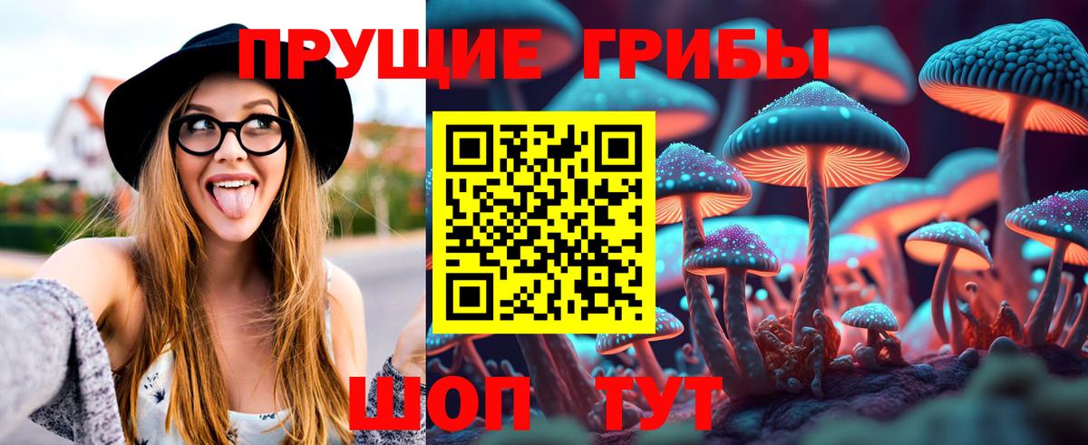 Михайловск  Галлюциногенные грибы MAGIC MUSHROOMS  Вход с VPN  Галлюциногенные грибы Psilocybine cubensis 
